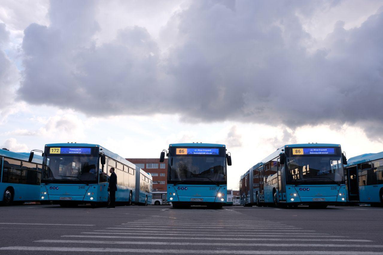На маршруты Санкт-Петербурга вышли 200 новых автобусов.